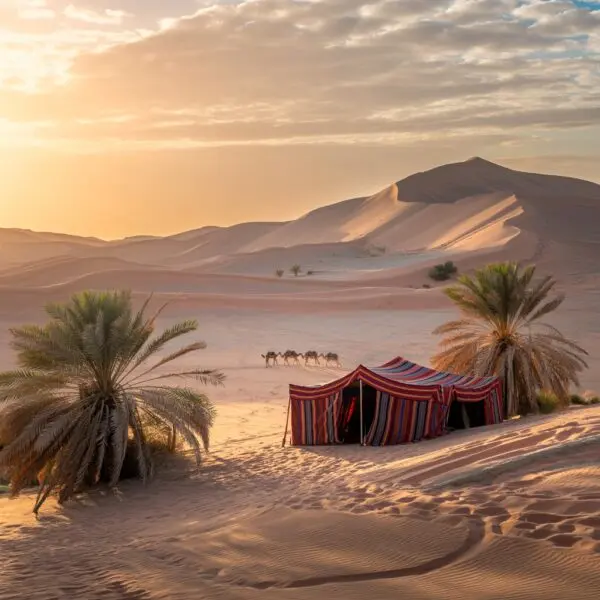 دليل السفر إلى عُمان - ما يجب معرفته قبل الذهاب